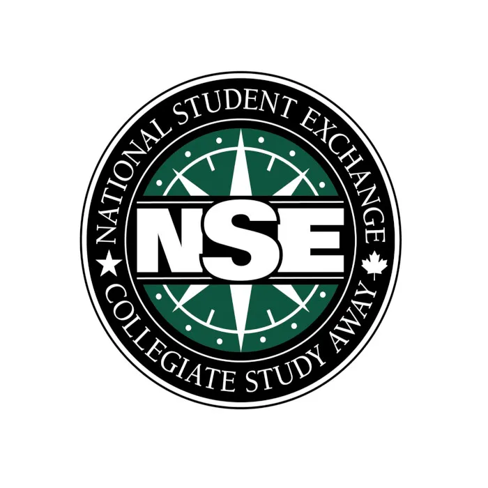 NSE logo