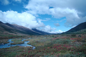 alaska nature image