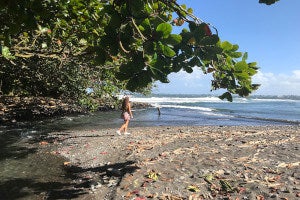 Hilo image