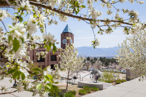 UCCS in the Spring
